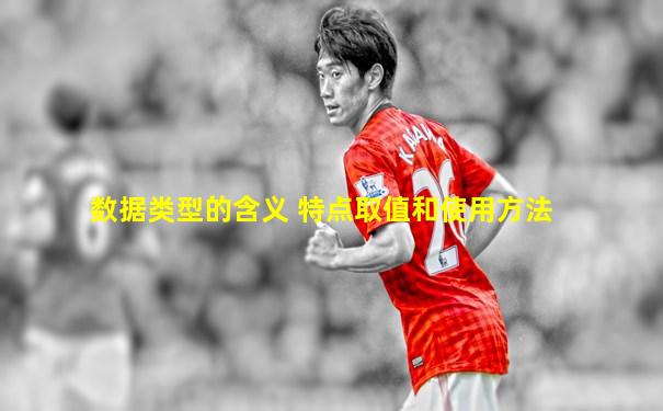 数据类型的含义 特点取值和使用方法